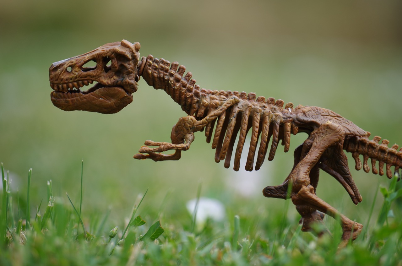 Jakiego typu zabawki zainteresują miłośnika dinozaurów?